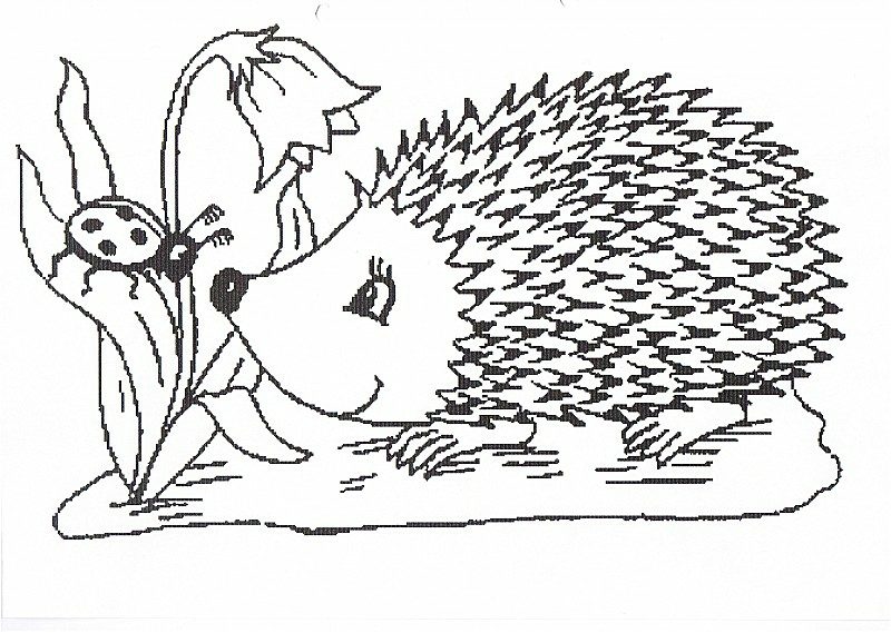 Hedgehog and ladybugs free coloring page