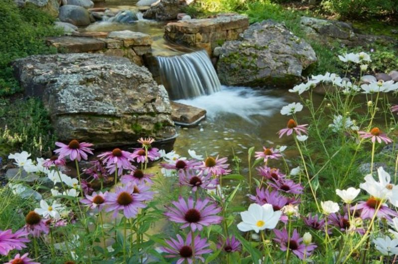 滝と美しい夏の花とクリーク