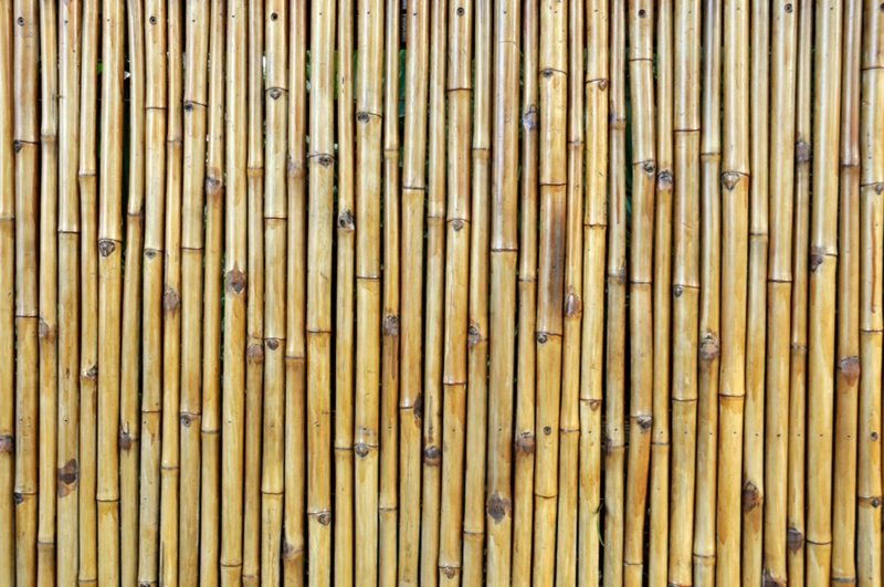 Bambusový plotový vzor