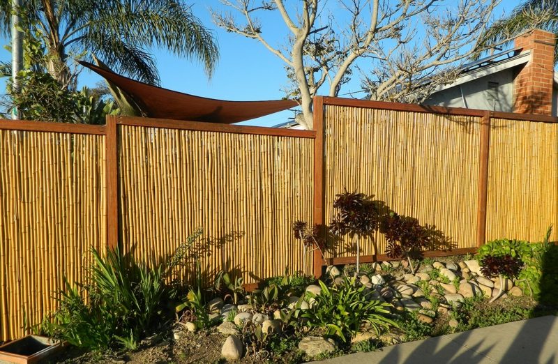 Bambusový plot ako obrazovka na záhrade