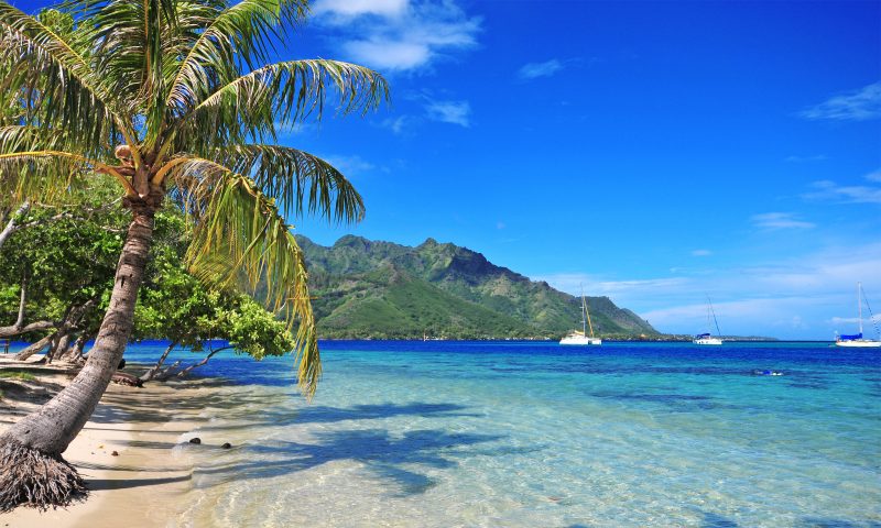 cele mai frumoase locuri din lume palmele de plajă Insulele Cook