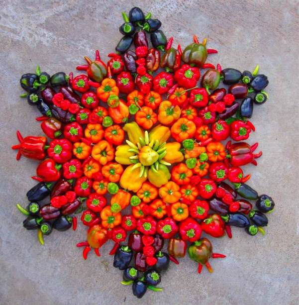 Vegetabilisk mandala konst
