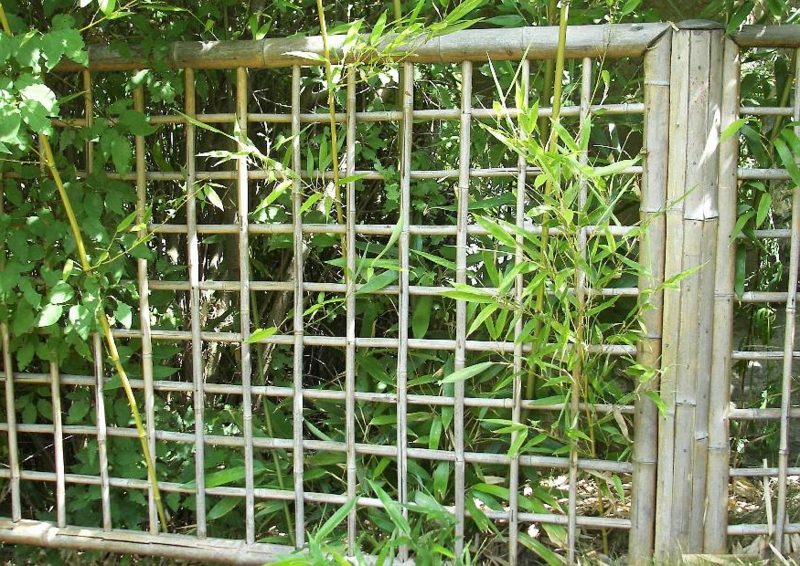 Mriežkový plot bambus