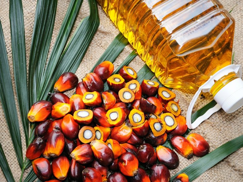 este uleiul de palmier sănătos