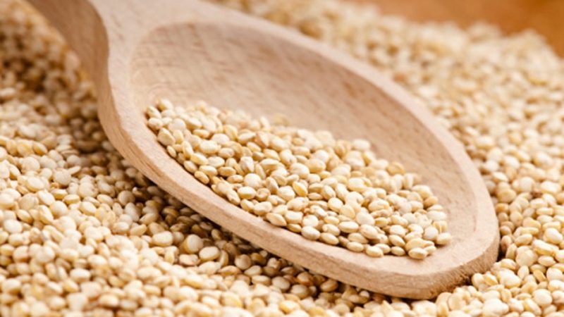 Quinoa Výživa Fakty Kuskus