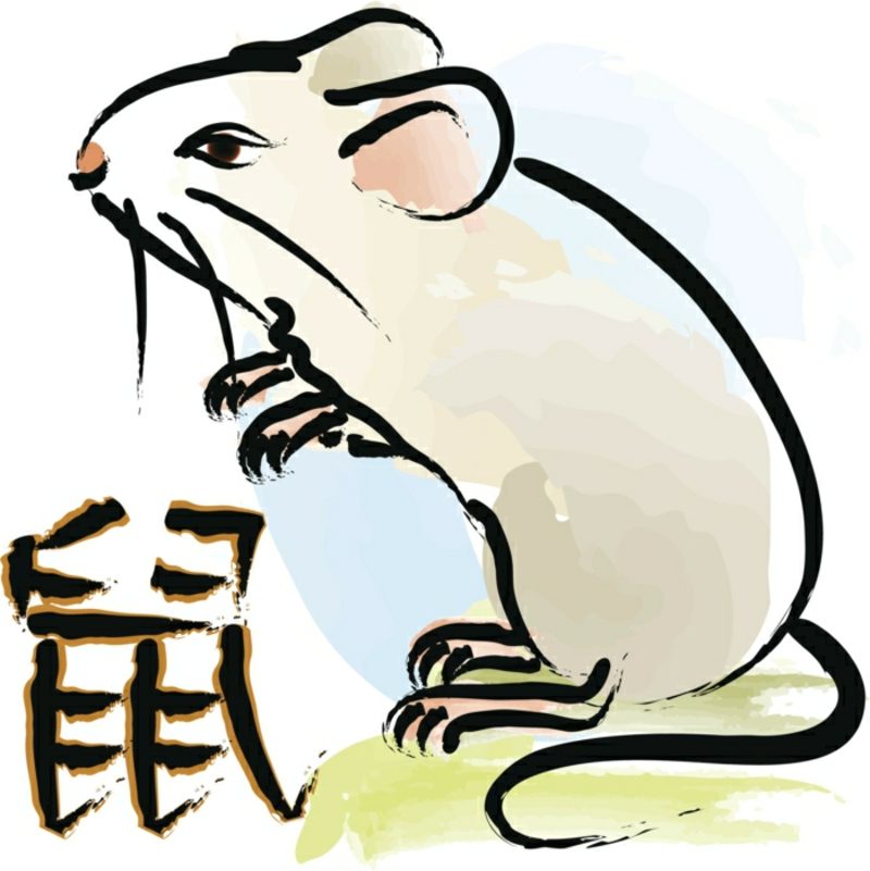 2015 Kinesiskt årligt horoskop Rat