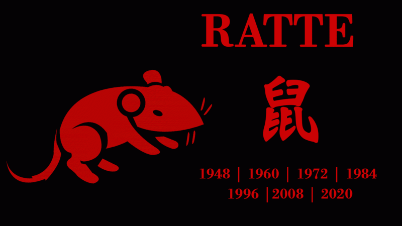 råtta