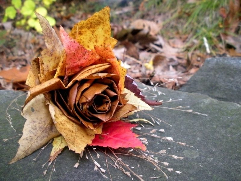 Јесен украшен Росе из јесенских листова