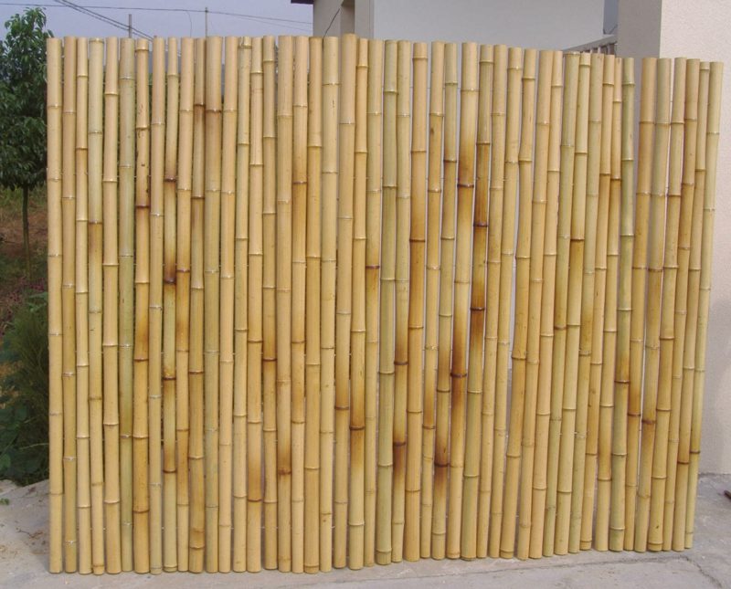 vysoký bambusový plot