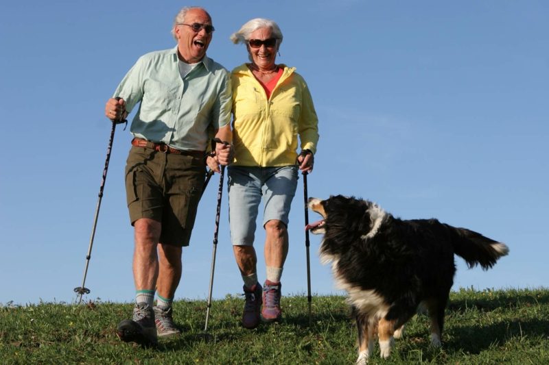 걷는 동안 칼로리 소비 강아지와 함께 산책 노인