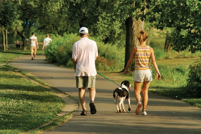 걷는 동안 칼로리 소비 도보로 개와 건강