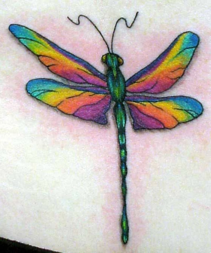 Dragonfly spalvos tatuiruotė