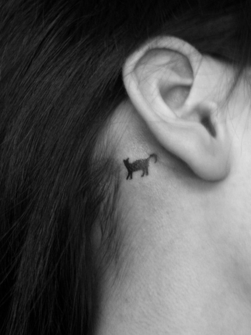 motif tato kecil kucing hitam di belakang telinga