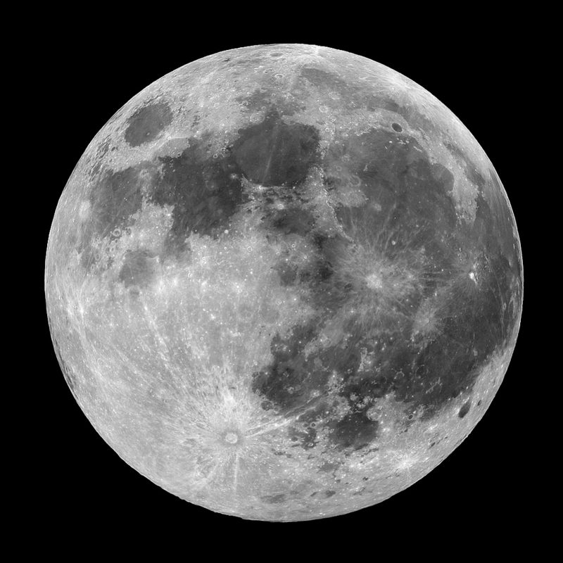 Lunar kalender 2015 för trädgård fullmåne inflytande flora