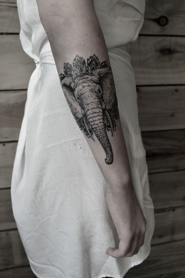 Tato gajah wanita tato ide wanita