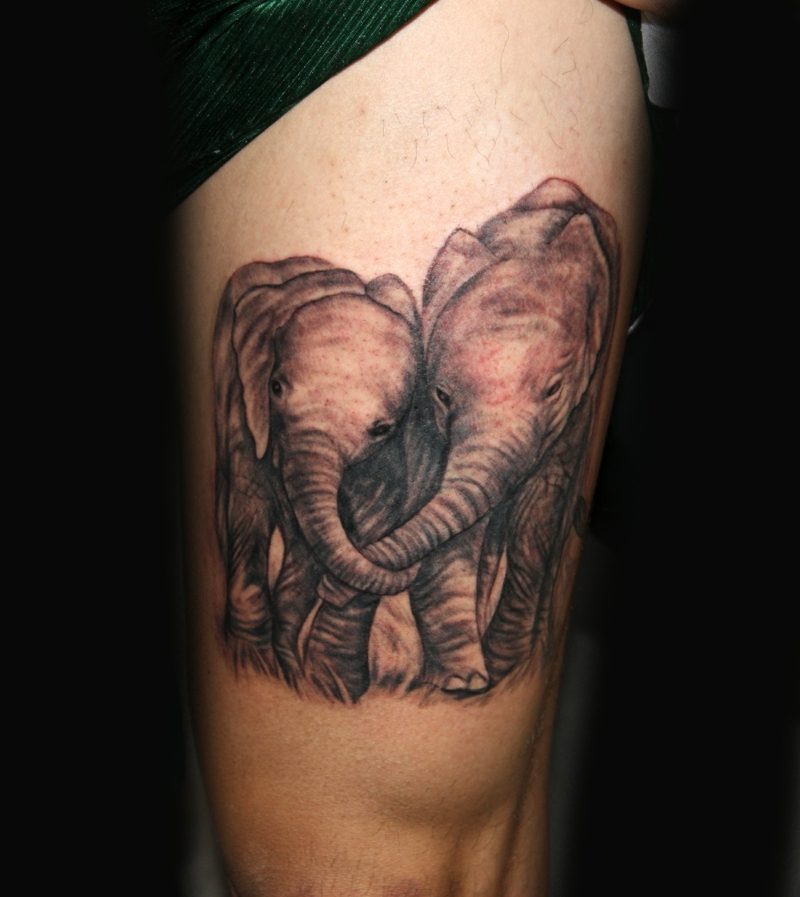 Slon tatonov slon