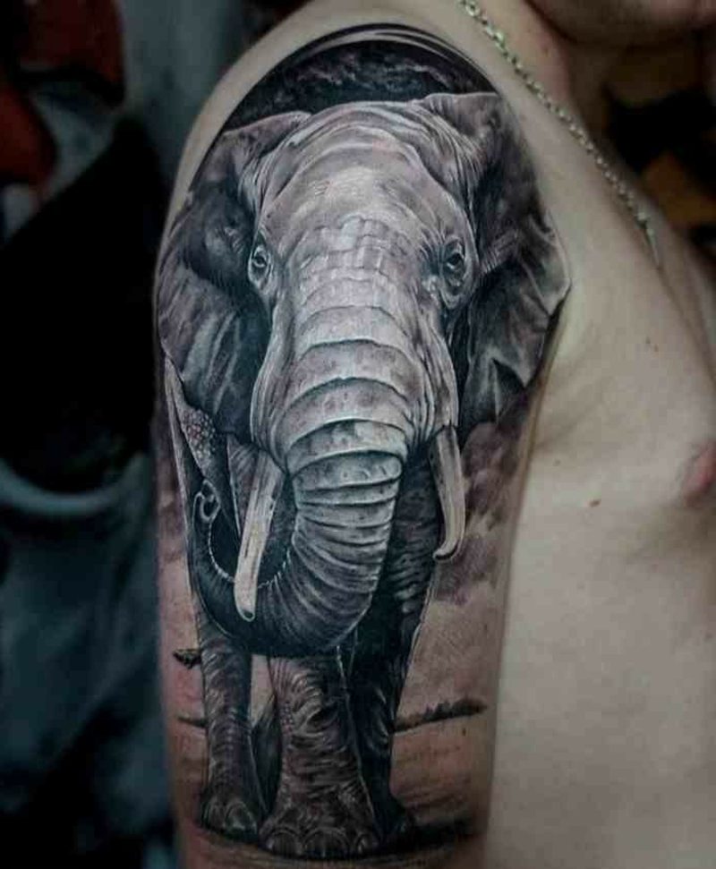 slon tattoo polk rokav