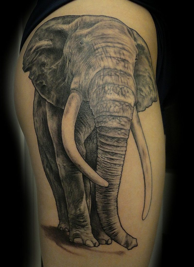 slon tattoo stran slon tatoo