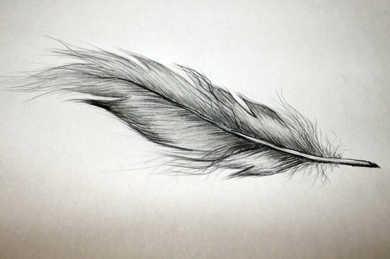 Feather Tattoo - pomen in predloge