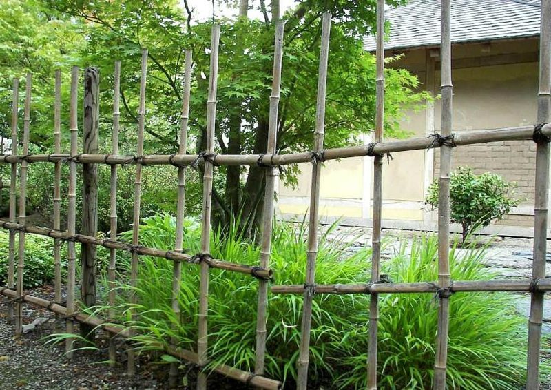 Nápady na dizajn záhrady bambusový plot