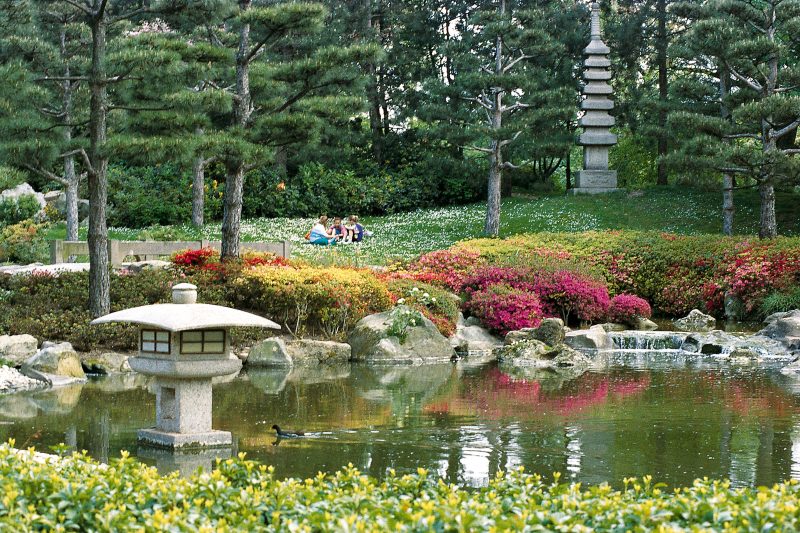 Japonské záhrady v parku
