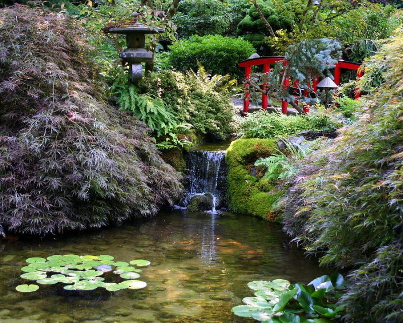Japonské záhrady s vodopádom