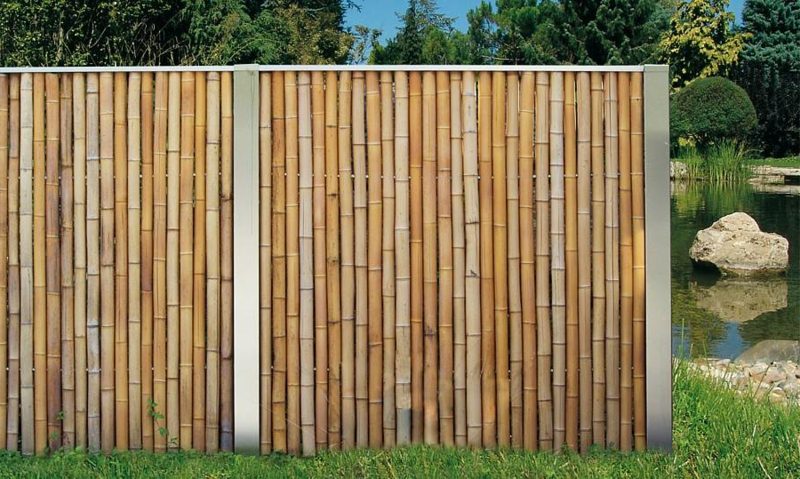 Bambusový plot klasický vzhľad