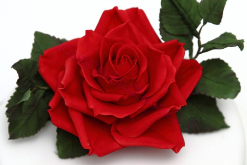 Hari Valentine: Tidak harus selalu mawar