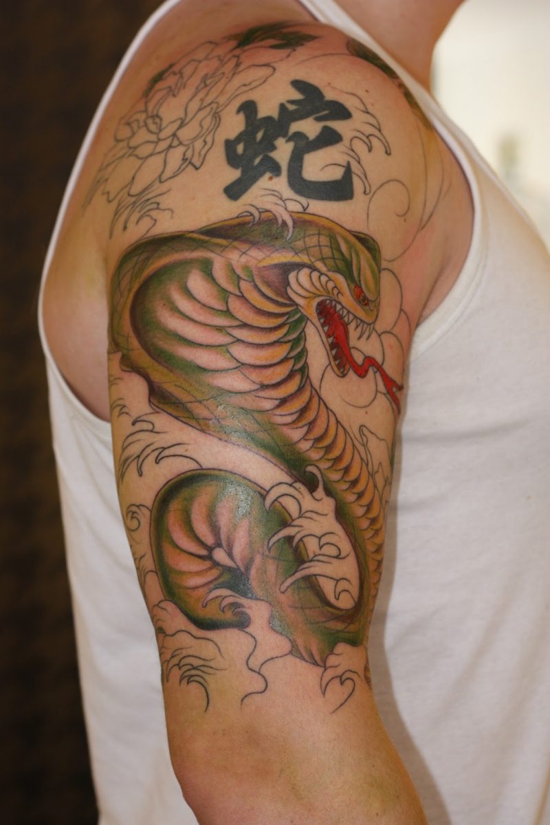 Kitajska ilustracija tetovaže kač