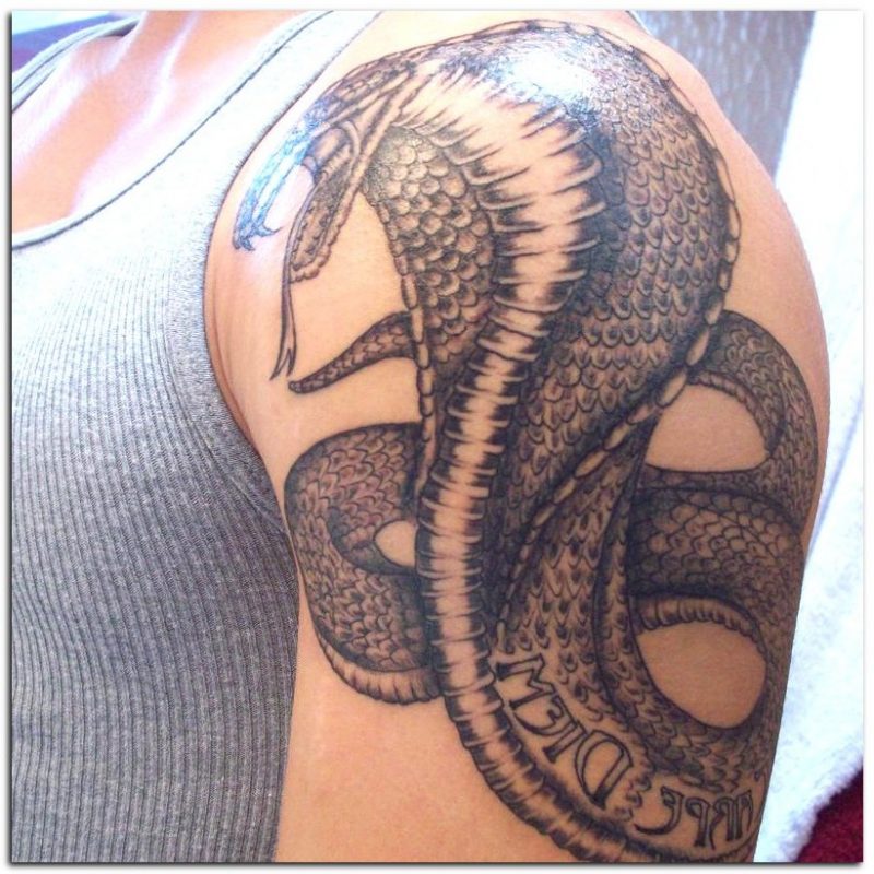 Kače Tattoo Cobra