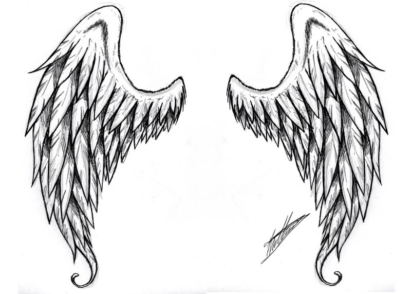 Tattoo predloge proste krila