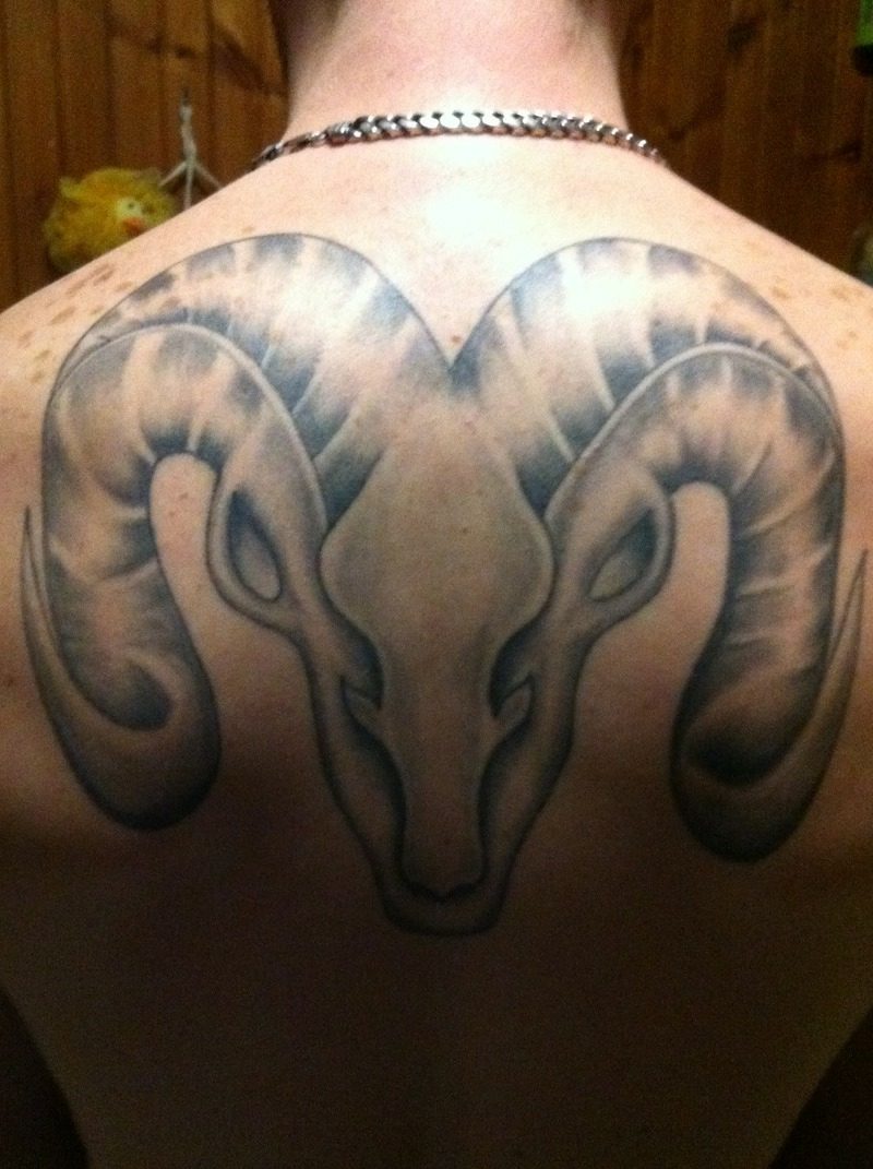 tatu tattoo kelabu dakwat tinta aries pada badan belakang