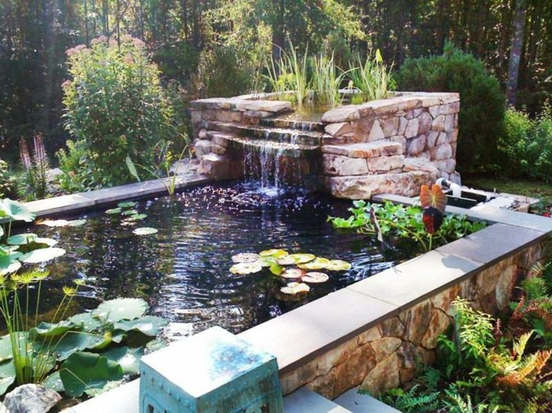 水生植物とクリーク造園の池