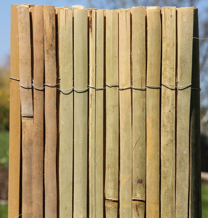 Bambusový plot design záhrady