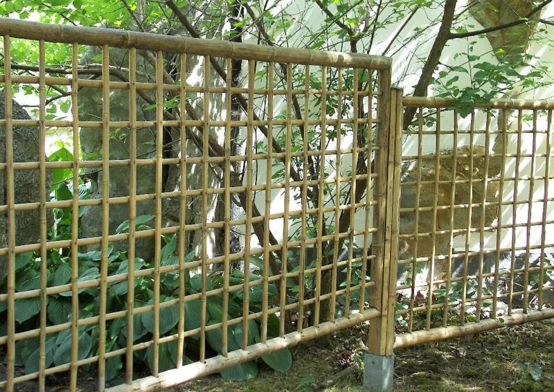 Mriežkový plot z dizajnu bambusovej záhrady