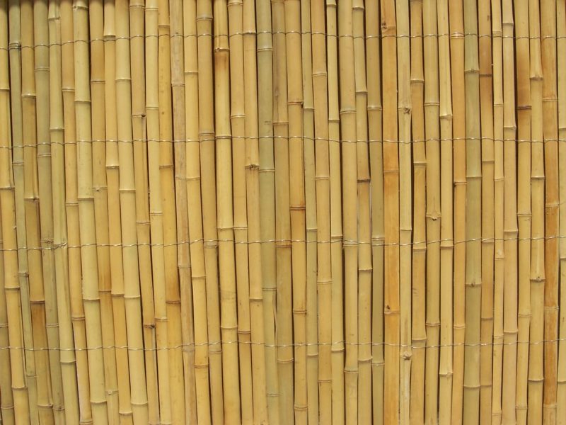 Záhradný plot z bambusu