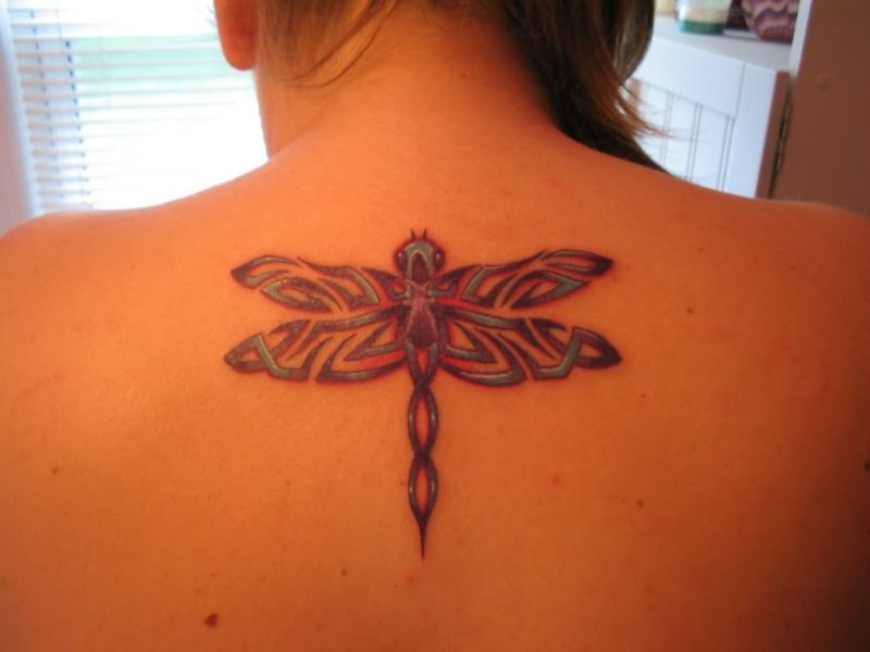 Dragonfly tatuiruotė atgal