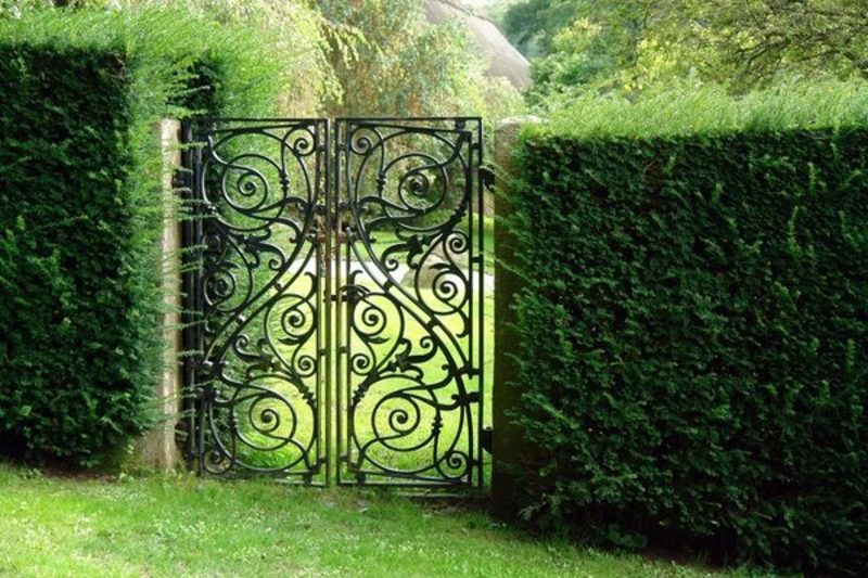 Kovové záhradné vráta kovové záhradné vráta kované
