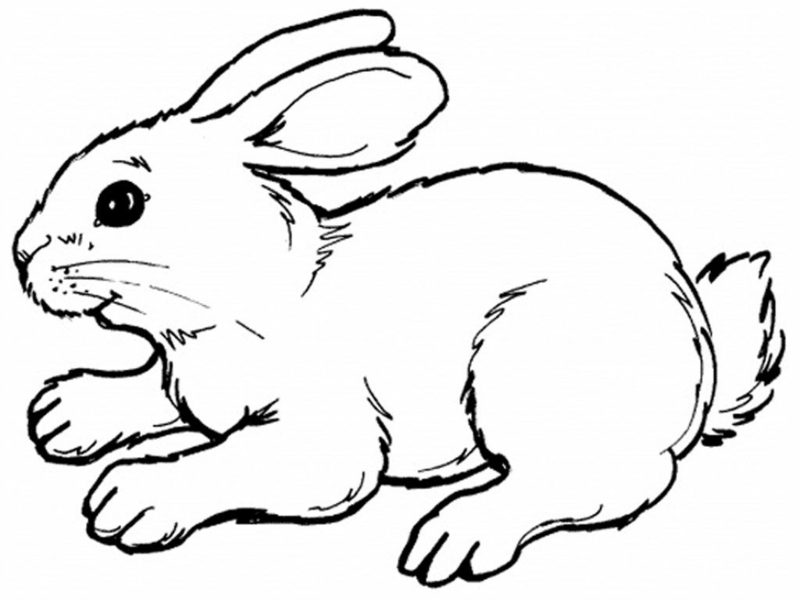 Målarbild för barnens kanin