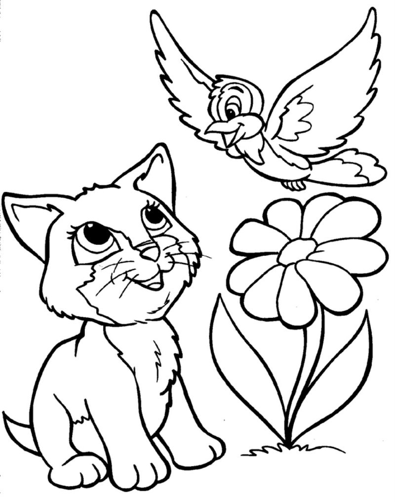 Pagina da colorare per la stampa di uccelli fiore di gatto