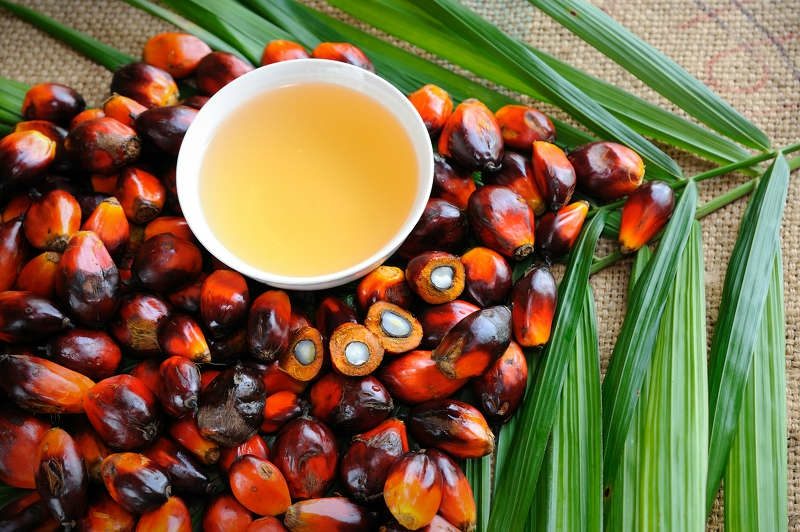 Alimente fără ulei de palmier