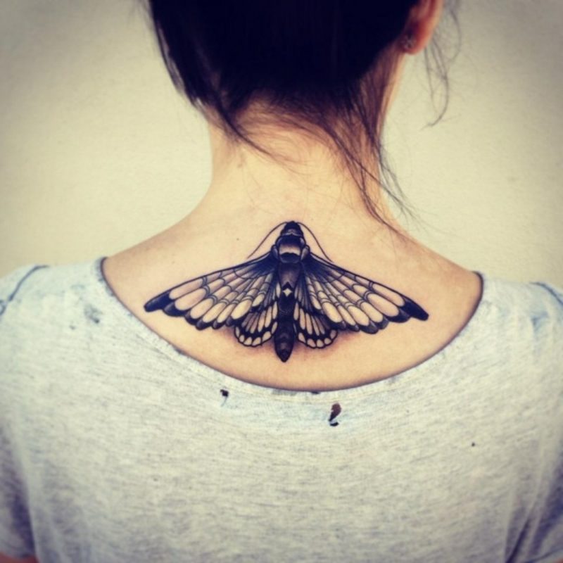Mariposa traseira da borboleta do tatuagem