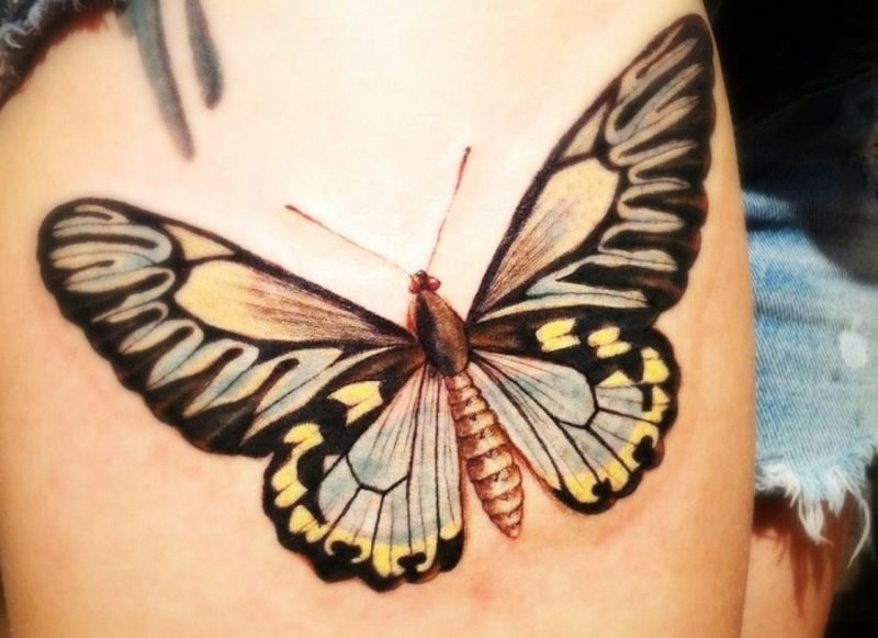 Tatuagem borboleta grande braço colorido