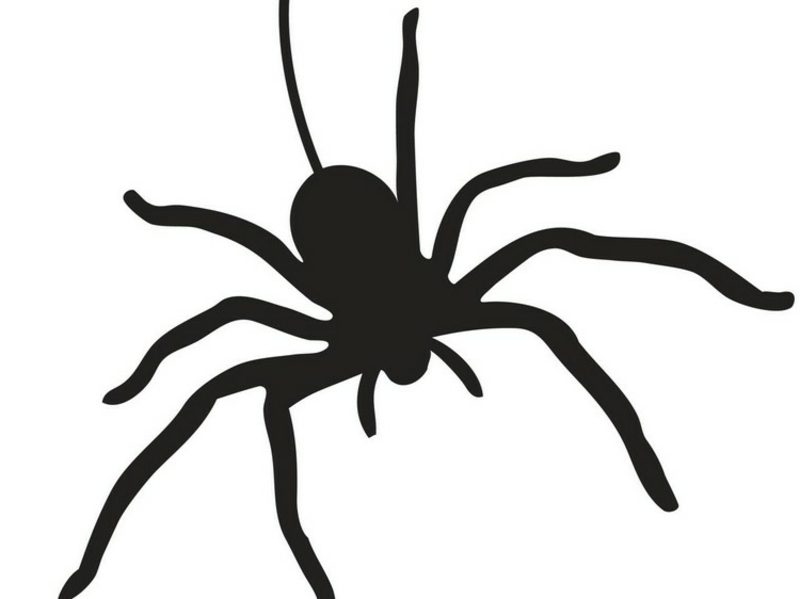 Templat ukiran labu Halloween labah-labah