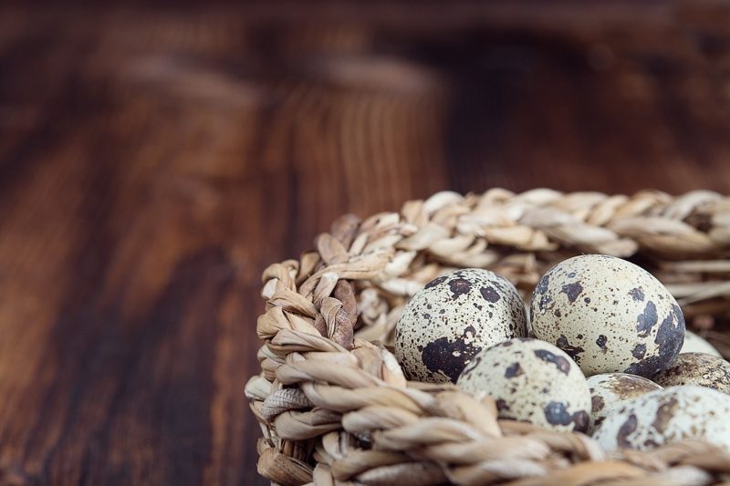 ako dlho sa kačacie vajcia pripravujú na recepty s pokynmi