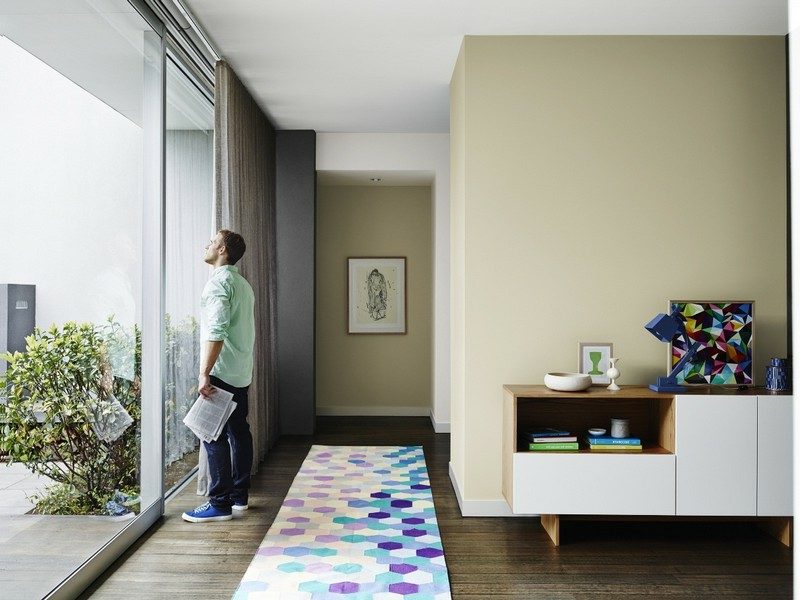 Teracotă cameră de zi cu pereți color