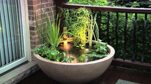 Bambus i en badekar mini