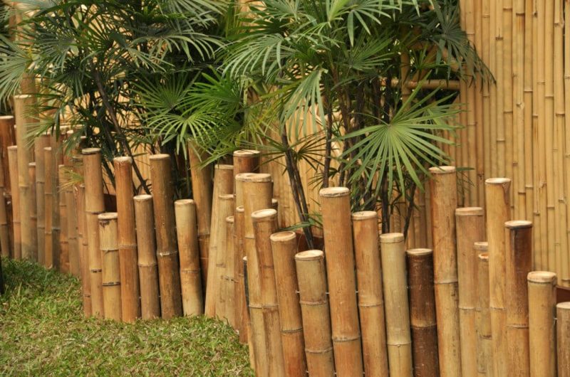 Bambusový plot zdobia záhradu