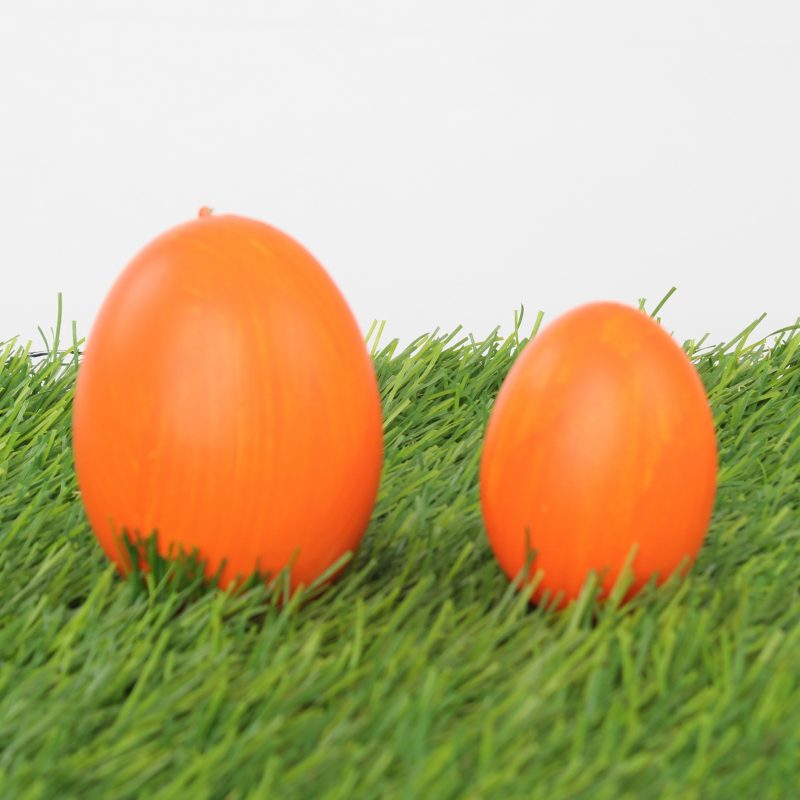vajcia farba oranžová