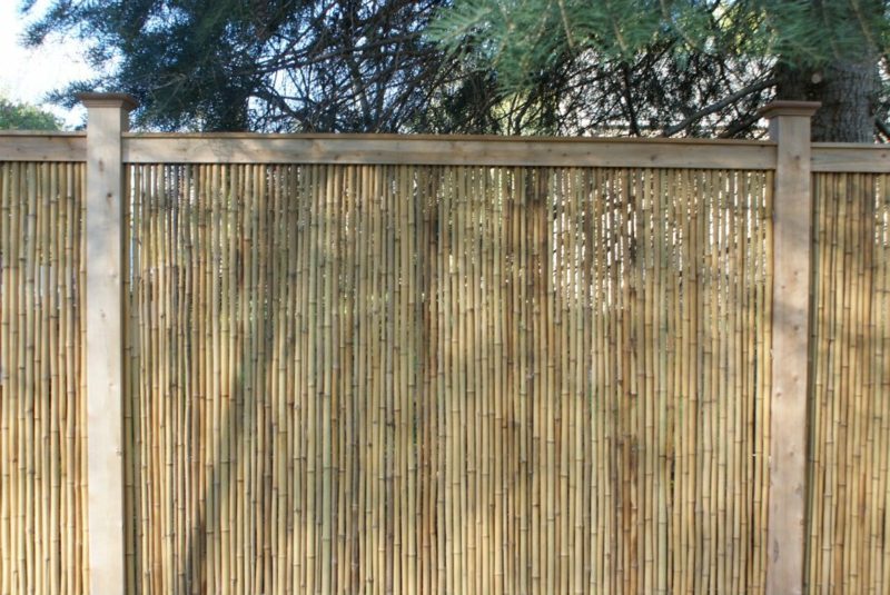 vysoký záhradný plot z bambusu